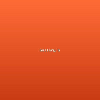 Event Gallery 6